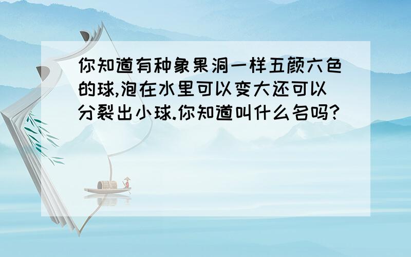 你知道有种象果洞一样五颜六色的球,泡在水里可以变大还可以分裂出小球.你知道叫什么名吗?