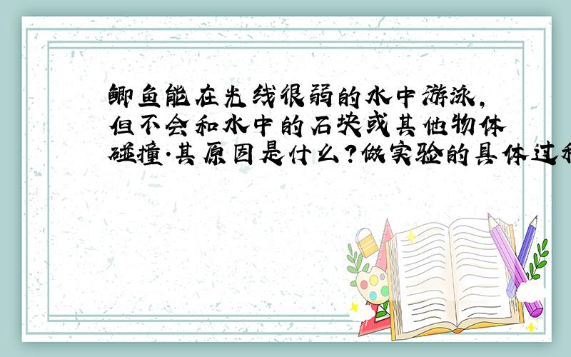 鲫鱼能在光线很弱的水中游泳,但不会和水中的石块或其他物体碰撞.其原因是什么?做实验的具体过程!