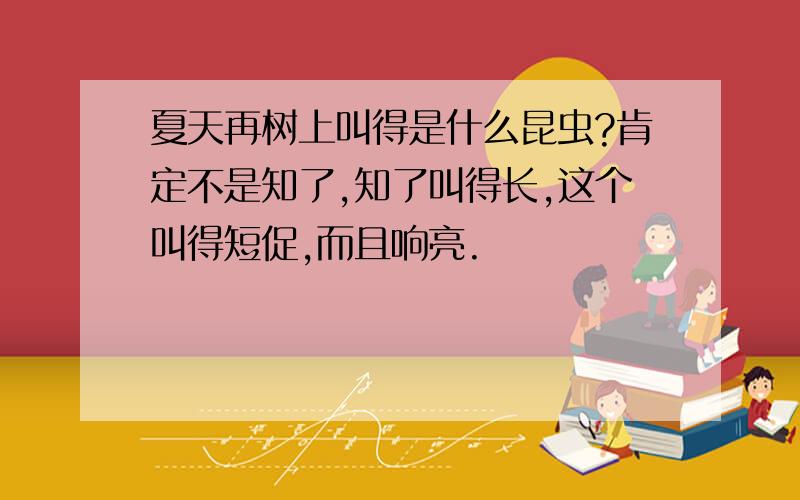 夏天再树上叫得是什么昆虫?肯定不是知了,知了叫得长,这个叫得短促,而且响亮.