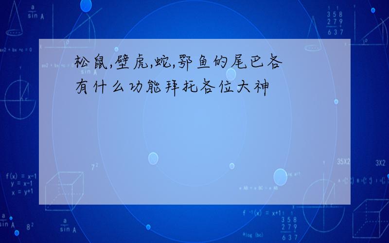 松鼠,壁虎,蛇,鄂鱼的尾巴各有什么功能拜托各位大神