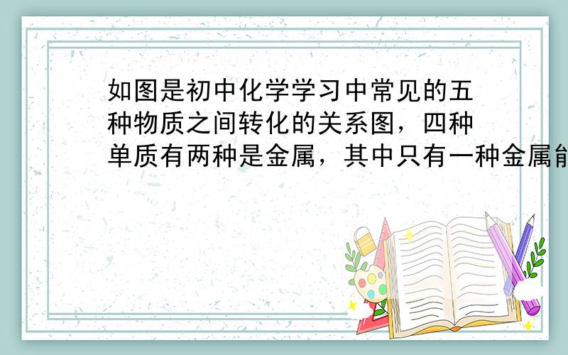 如图是初中化学学习中常见的五种物质之间转化的关系图，四种单质有两种是金属，其中只有一种金属能与稀盐酸发生置换反应．据此回