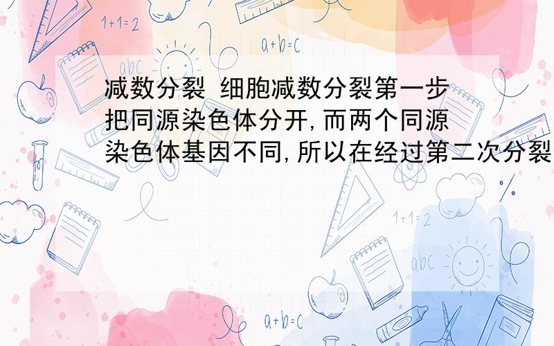 减数分裂 细胞减数分裂第一步把同源染色体分开,而两个同源染色体基因不同,所以在经过第二次分裂后所得的多个细胞基因并不相同