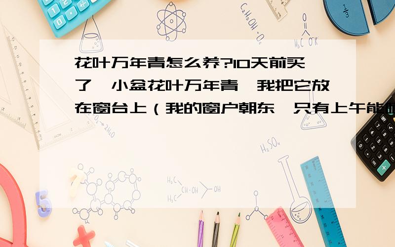 花叶万年青怎么养?10天前买了一小盆花叶万年青,我把它放在窗台上（我的窗户朝东,只有上午能晒两三个小时太阳）,当时摸了摸