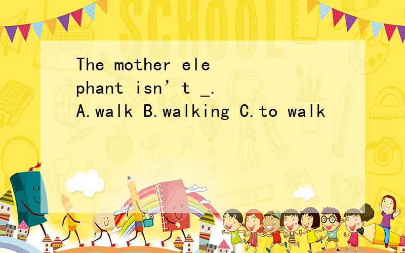 The mother elephant isn’t _.A.walk B.walking C.to walk