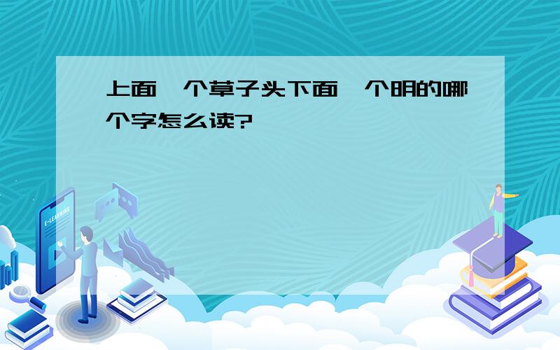 上面一个草子头下面一个明的哪个字怎么读?