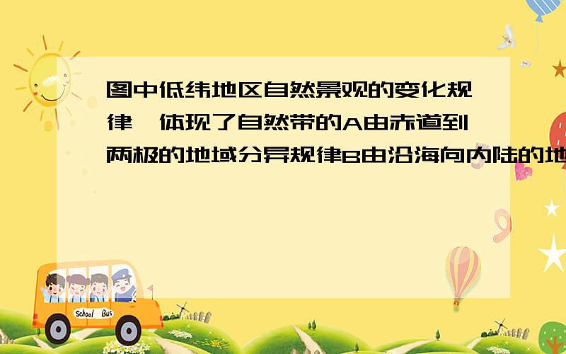 图中低纬地区自然景观的变化规律,体现了自然带的A由赤道到两极的地域分异规律B由沿海向内陆的地域分异规律C山地的垂直地域分