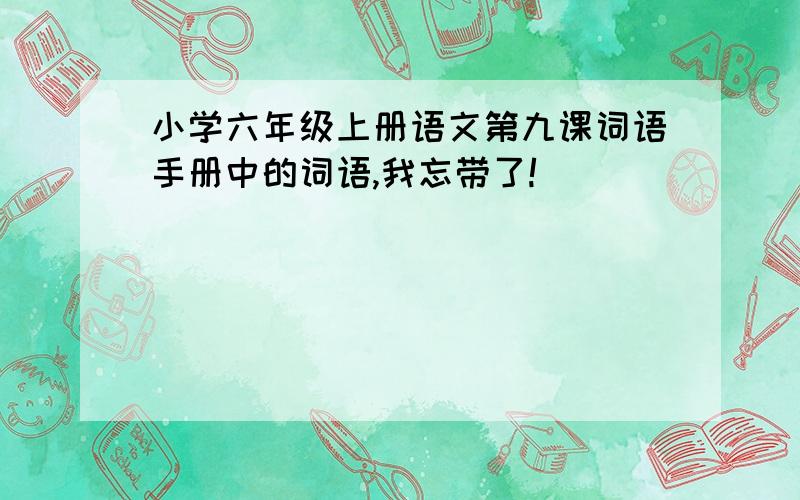 小学六年级上册语文第九课词语手册中的词语,我忘带了!