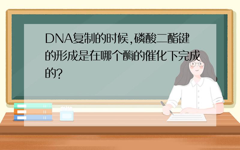 DNA复制的时候,磷酸二酯键的形成是在哪个酶的催化下完成的?