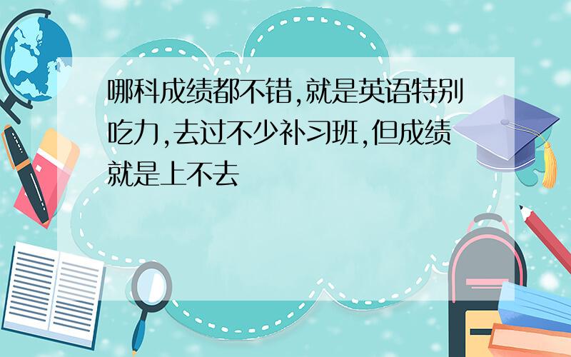 哪科成绩都不错,就是英语特别吃力,去过不少补习班,但成绩就是上不去