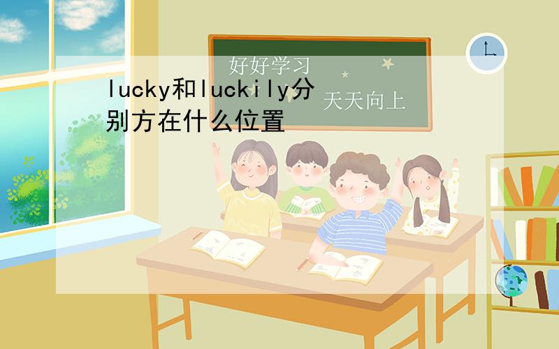 lucky和luckily分别方在什么位置