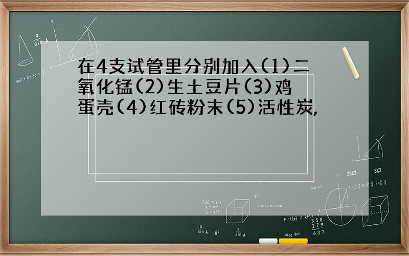 在4支试管里分别加入(1)二氧化锰(2)生土豆片(3)鸡蛋壳(4)红砖粉末(5)活性炭,