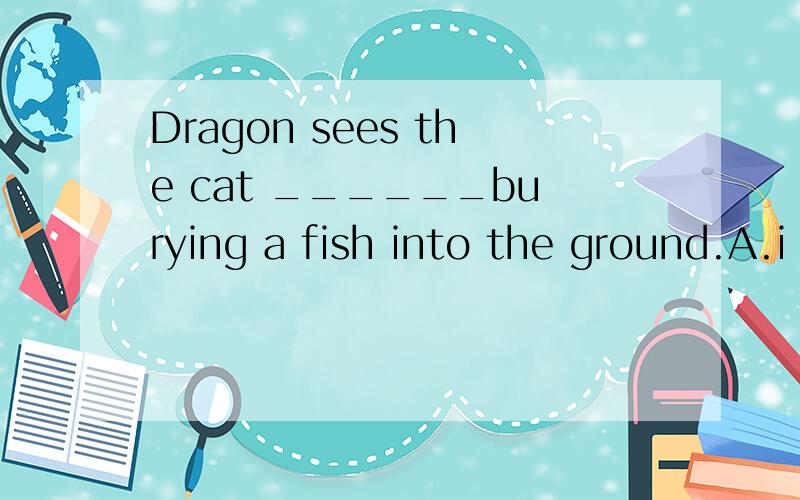 Dragon sees the cat ______burying a fish into the ground.A.i