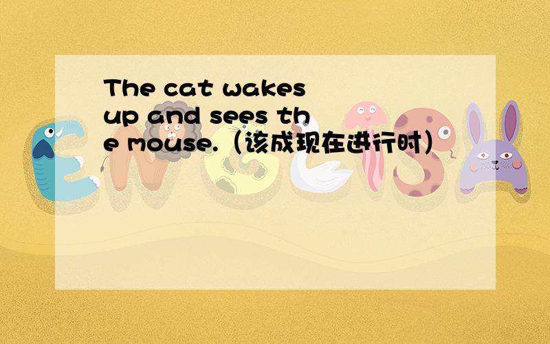 The cat wakes up and sees the mouse.（该成现在进行时）