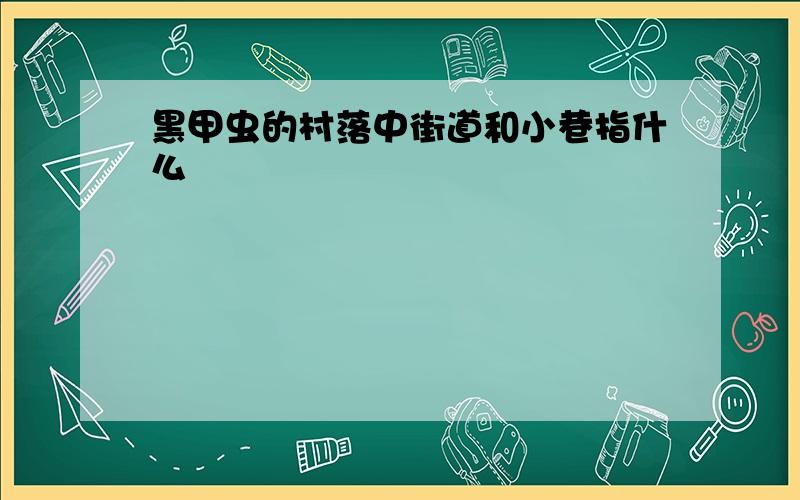 黑甲虫的村落中街道和小巷指什么