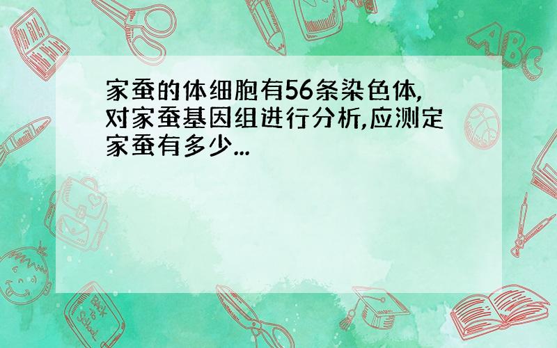 家蚕的体细胞有56条染色体,对家蚕基因组进行分析,应测定家蚕有多少...