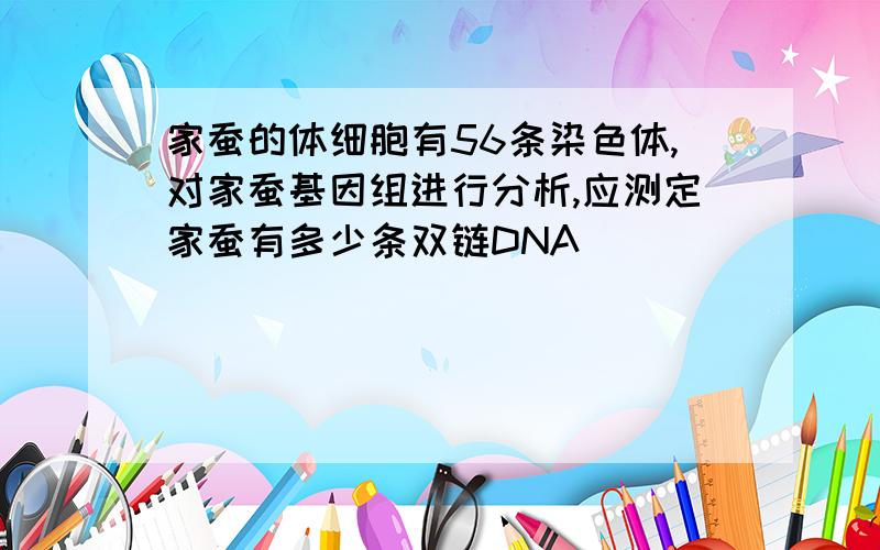 家蚕的体细胞有56条染色体,对家蚕基因组进行分析,应测定家蚕有多少条双链DNA