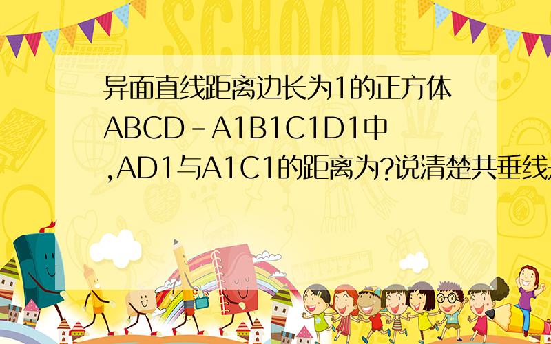 异面直线距离边长为1的正方体ABCD-A1B1C1D1中,AD1与A1C1的距离为?说清楚共垂线是哪一天找不到.....