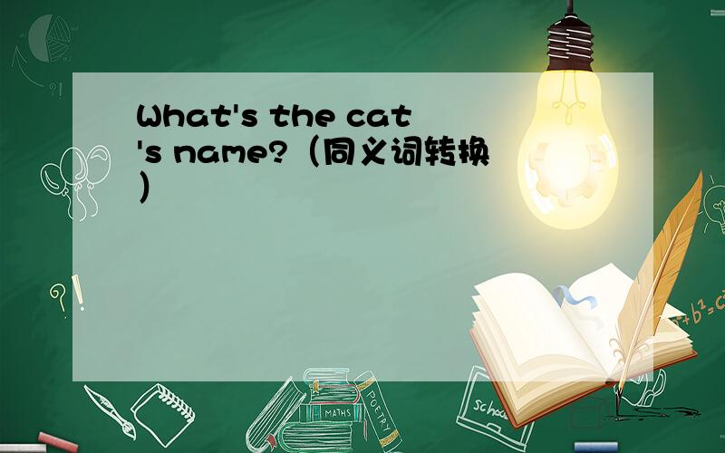 What's the cat's name?（同义词转换）