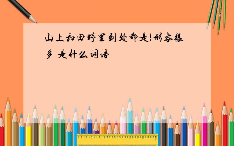 山上和田野里到处都是!形容很多 是什么词语