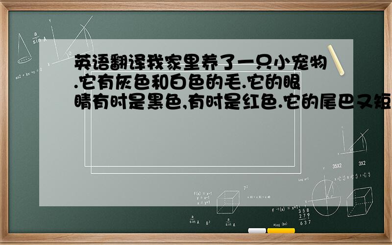 英语翻译我家里养了一只小宠物.它有灰色和白色的毛.它的眼睛有时是黑色,有时是红色.它的尾巴又短又小,非常可爱.它是一只小