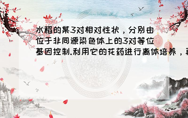 水稻的某3对相对性状，分别由位于非同源染色体上的3对等位基因控制.利用它的花药进行离体培养，再用浓度适当的秋水仙素处理.