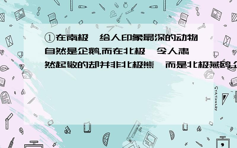 ①在南极,给人印象最深的动物自然是企鹅.而在北极,令人肃然起敬的却并非北极熊,而是北极燕鸥.企鹅虽然待人亲切,憨态可掬,