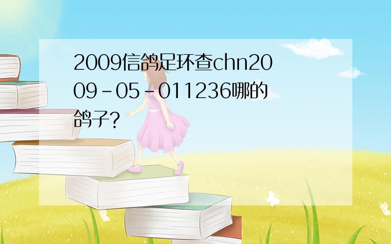 2009信鸽足环查chn2009-05-011236哪的鸽子?