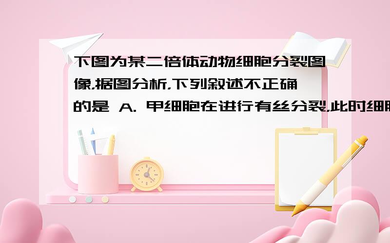 下图为某二倍体动物细胞分裂图像，据图分析，下列叙述不正确的是 A. 甲细胞在进行有丝分裂，此时细胞中染色体数为8，DNA