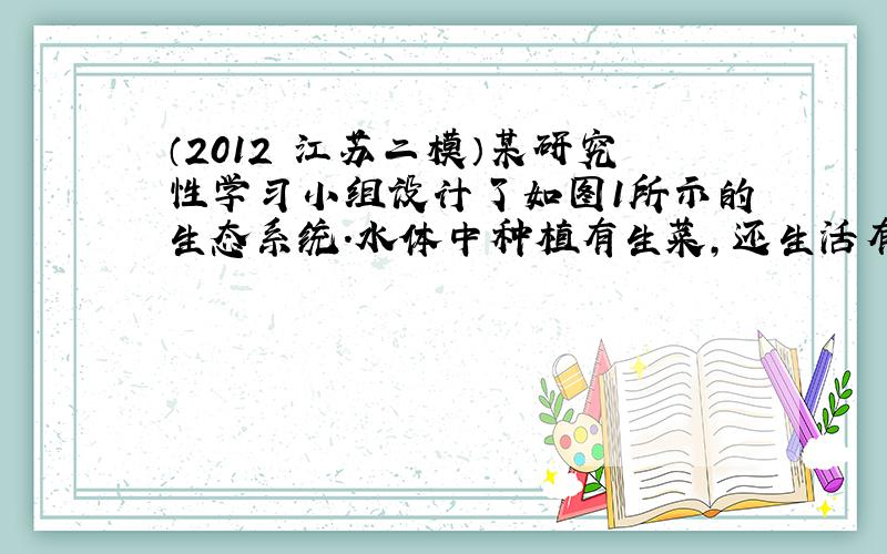 （2012•江苏二模）某研究性学习小组设计了如图1所示的生态系统．水体中种植有生菜，还生活有藻类植物、硝化细菌、水蚤、鲤