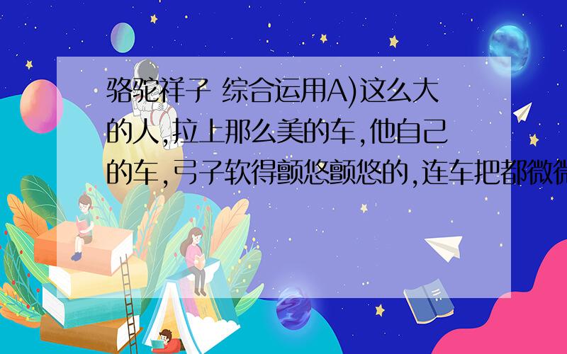 骆驼祥子 综合运用A)这么大的人,拉上那么美的车,他自己的车,弓子软得颤悠颤悠的,连车把都微微的动弹；车箱是那么亮,垫子