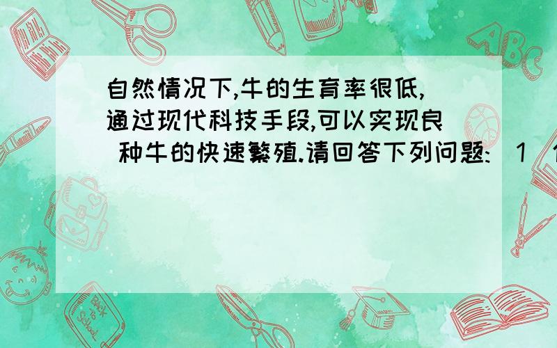 自然情况下,牛的生育率很低,通过现代科技手段,可以实现良 种牛的快速繁殖.请回答下列问题:(1)使一头良种雄牛在一年内繁