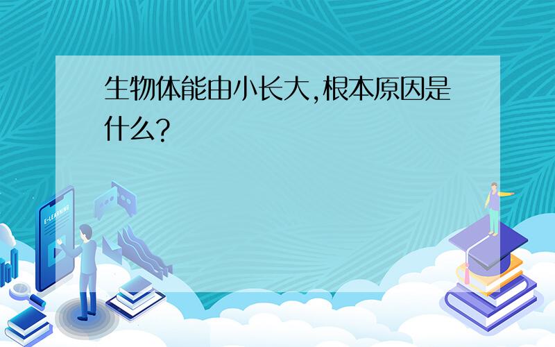 生物体能由小长大,根本原因是什么?