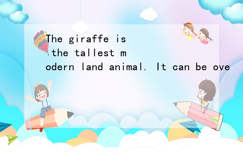 The giraffe is the tallest modern land animal. It can be ove