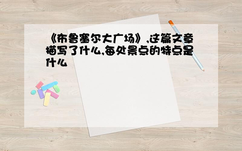 《布鲁塞尔大广场》,这篇文章描写了什么,每处景点的特点是什么