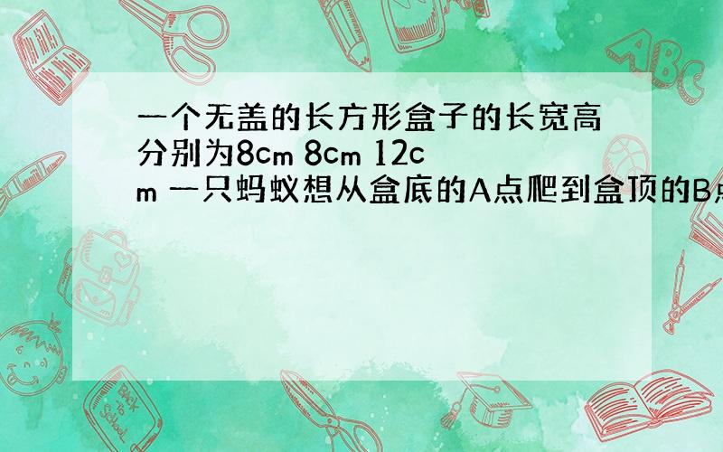 一个无盖的长方形盒子的长宽高分别为8cm 8cm 12cm 一只蚂蚁想从盒底的A点爬到盒顶的B点,求最短路线的