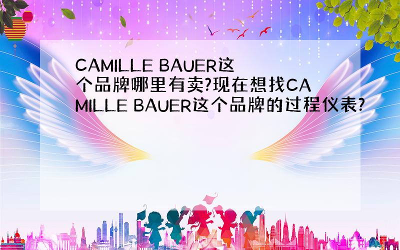 CAMILLE BAUER这个品牌哪里有卖?现在想找CAMILLE BAUER这个品牌的过程仪表?