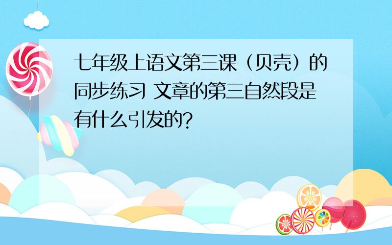 七年级上语文第三课（贝壳）的同步练习 文章的第三自然段是有什么引发的?