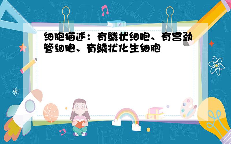 细胞描述：有鳞状细胞、有宫劲管细胞、有鳞状化生细胞