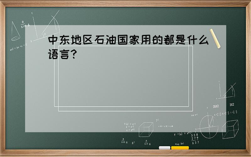 中东地区石油国家用的都是什么语言?