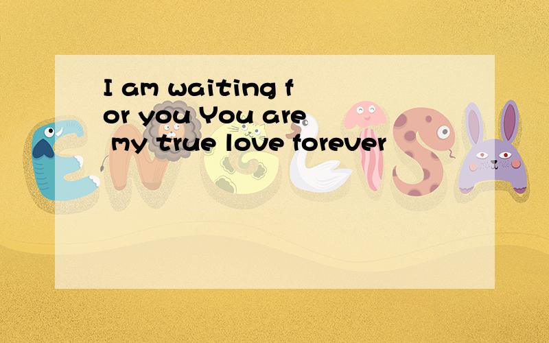 I am waiting for you You are my true love forever