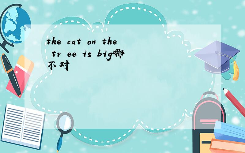 the cat on the tr ee is big哪不对