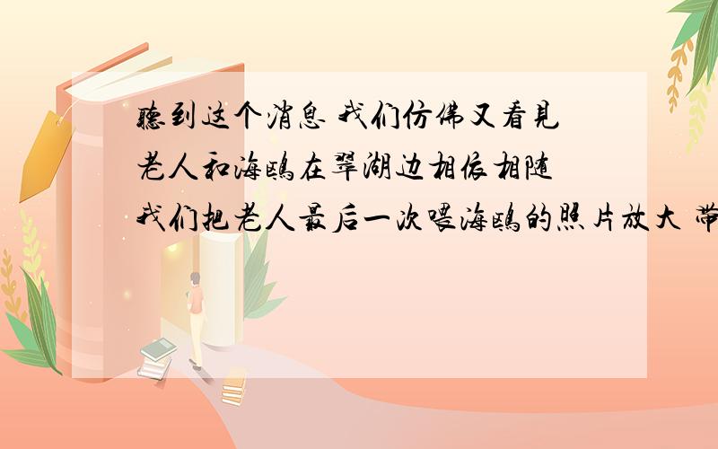 听到这个消息 我们仿佛又看见老人和海鸥在翠湖边相依相随 我们把老人最后一次喂海鸥的照片放大 带到了翠湖