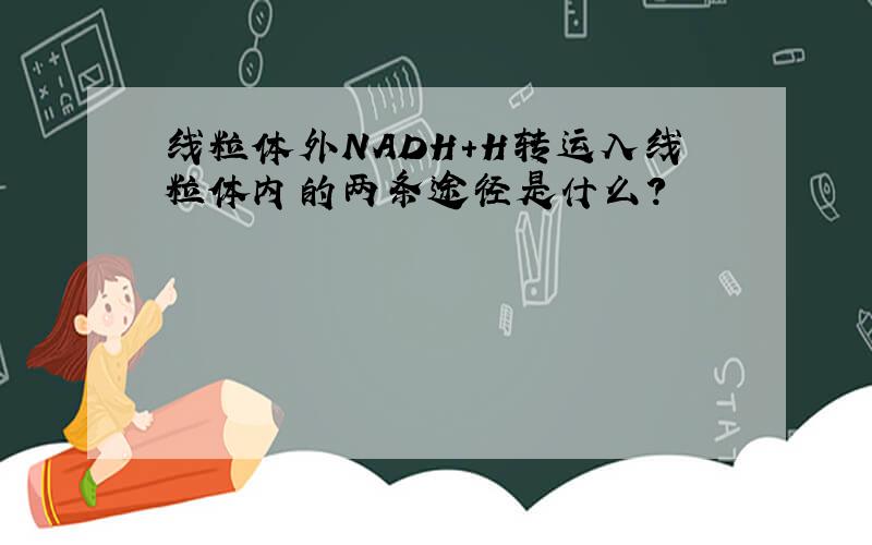 线粒体外NADH+H转运入线粒体内的两条途径是什么?