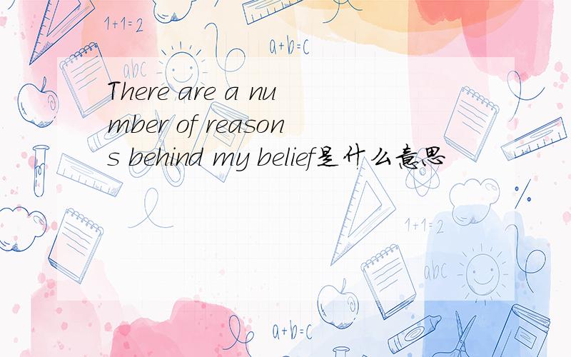 There are a number of reasons behind my belief是什么意思