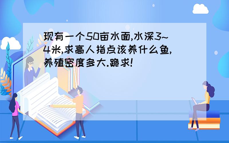 现有一个50亩水面,水深3~4米,求高人指点该养什么鱼,养殖密度多大.跪求!