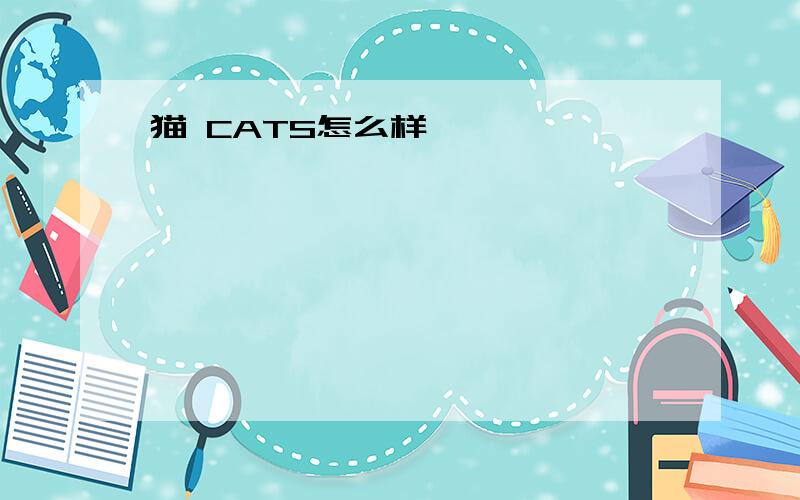 猫 CATS怎么样