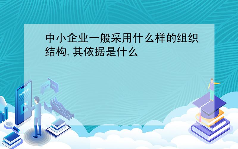 中小企业一般采用什么样的组织结构,其依据是什么