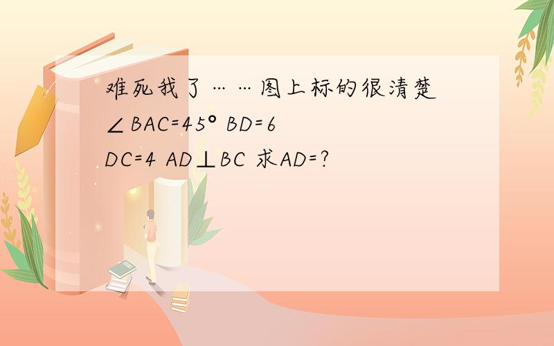 难死我了……图上标的很清楚 ∠BAC=45° BD=6 DC=4 AD⊥BC 求AD=?