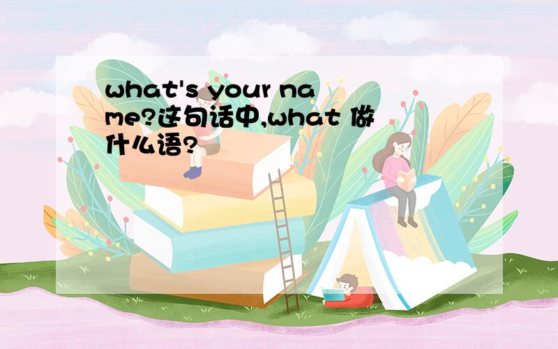 what's your name?这句话中,what 做什么语?