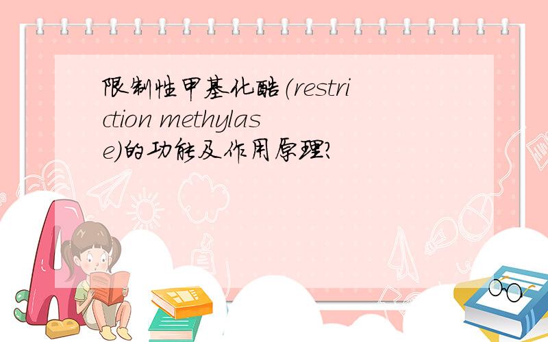 限制性甲基化酶（restriction methylase）的功能及作用原理?